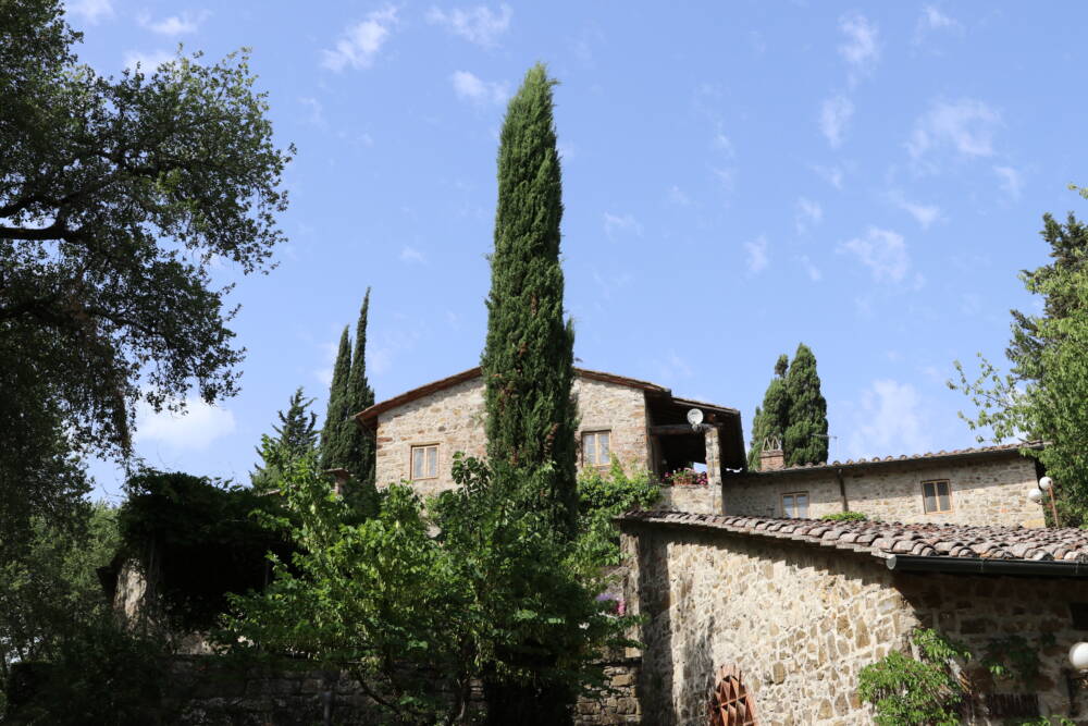 Monte Bernardi